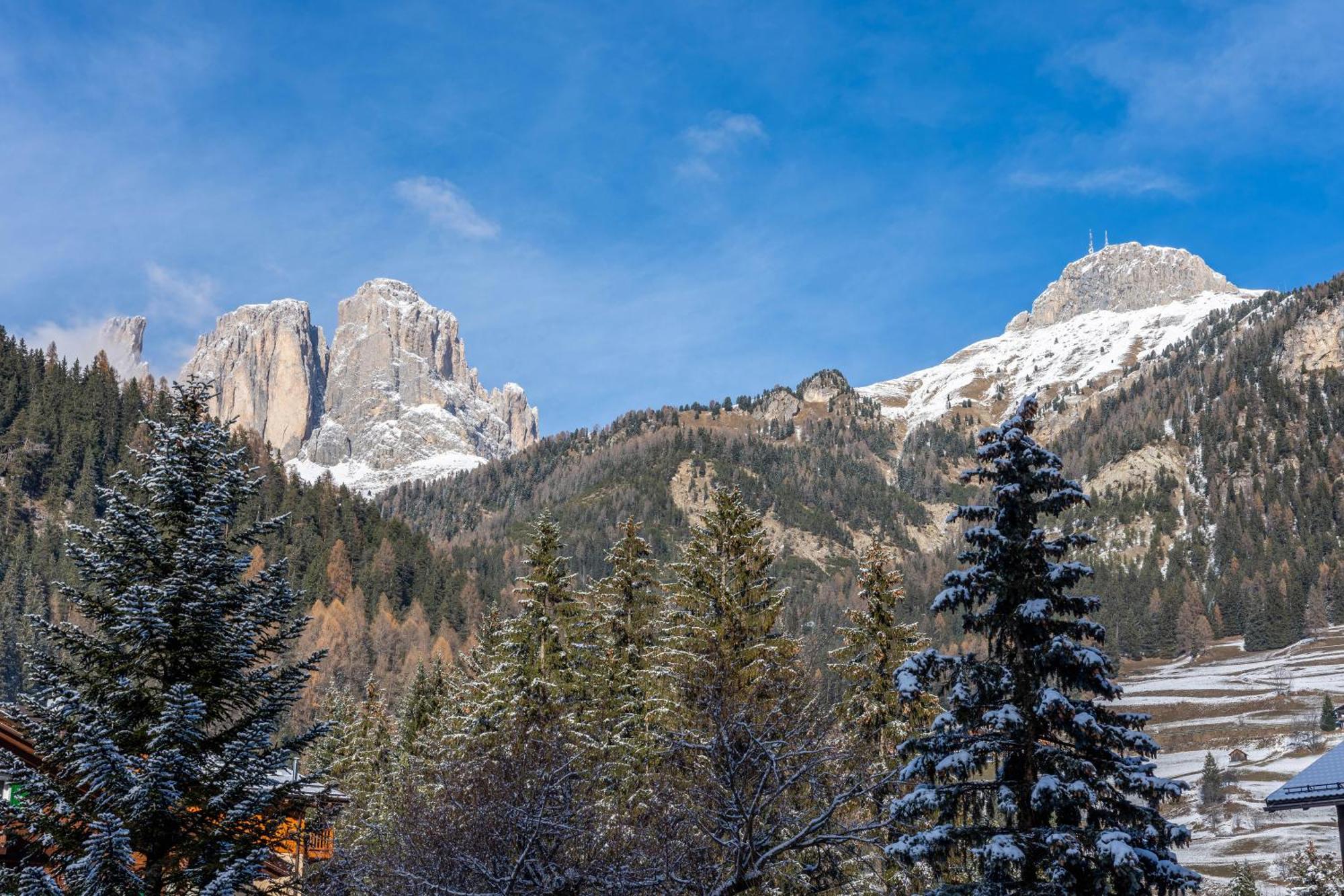 Kamerloy Apartments A Campitello di Fassa Eksteriør bilde